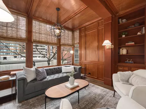 223 E Delaware Pl #3W, Chicago, IL 60611 photo 10