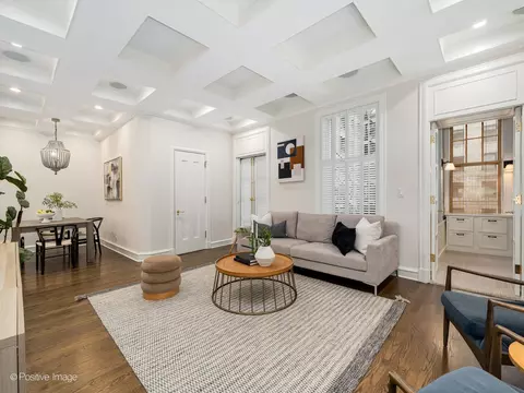 223 E Delaware Pl #3W, Chicago, IL 60611 photo 11