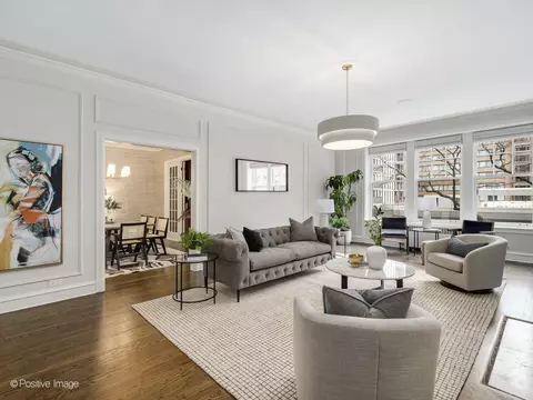 223 E Delaware Pl #3W, Chicago, IL 60611 photo 5