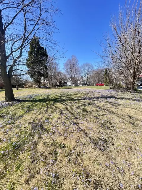 552 E Chicago St, Elgin, IL 60120 photo 13