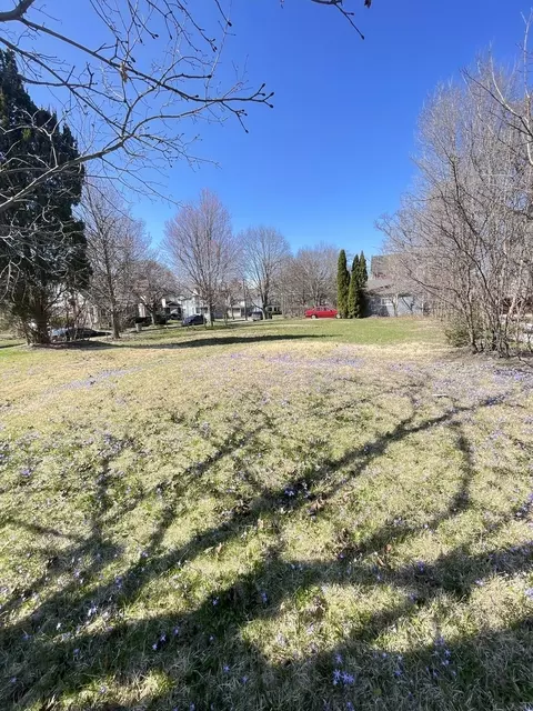552 E Chicago St, Elgin, IL 60120 photo 12