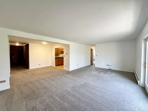 Living - 248 E Bailey Rd #L, Naperville, IL 60565 photo 2 of 4