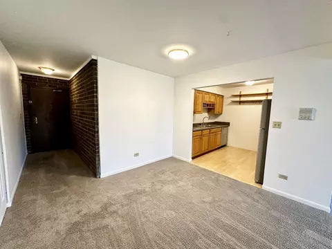 Living - 248 E Bailey Rd #L, Naperville, IL 60565 photo 1 of 4