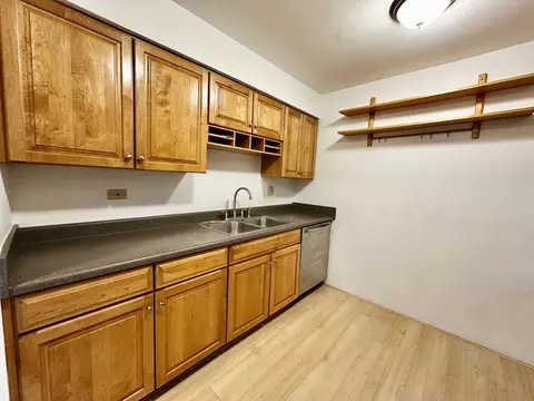 Kitchen - 248 E Bailey Rd #L, Naperville, IL 60565 photo 2 of 3