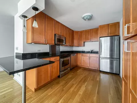 Kitchen - 201 E Chestnut St #11F, Chicago, IL 60611 photo 3 of 3