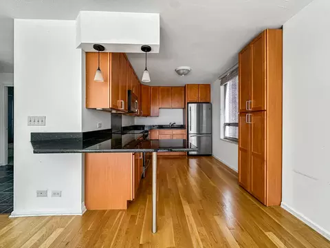 Kitchen - 201 E Chestnut St #11F, Chicago, IL 60611 photo 2 of 3