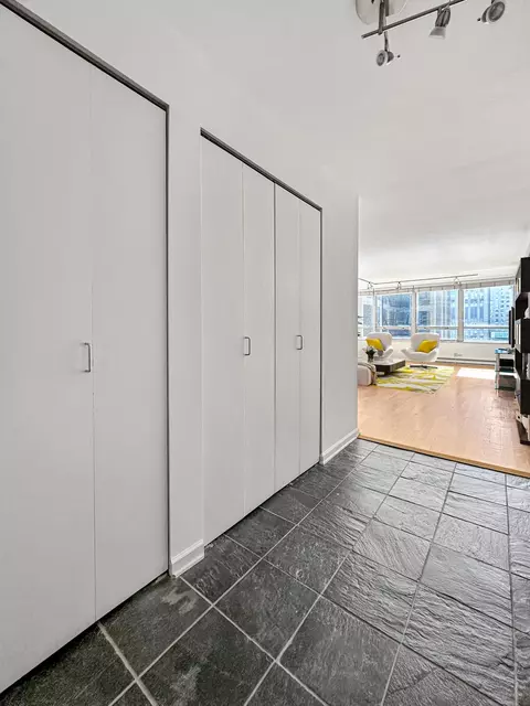 Entry Way - 201 E Chestnut St #11F, Chicago, IL 60611 photo 1 of 1