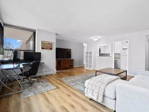 Living - 33 E Cedar St #4H, Chicago, IL 60611 photo 3 of 3