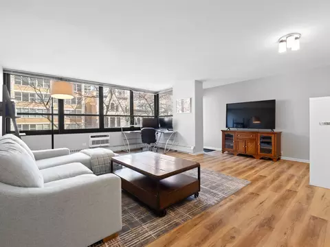 Living - 33 E Cedar St #4H, Chicago, IL 60611 photo 2 of 3