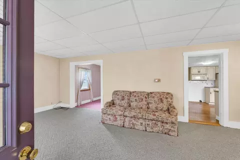 Living - 207 E Madison St, Homer, IL 61849 photo 1 of 4