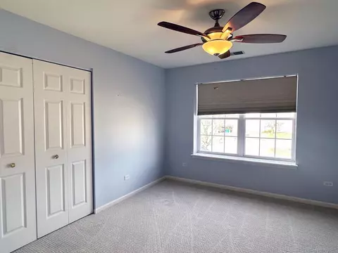 23931 Greenfield Ct, Plainfield, IL 60585 photo 22