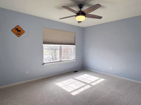 23931 Greenfield Ct, Plainfield, IL 60585 photo 19
