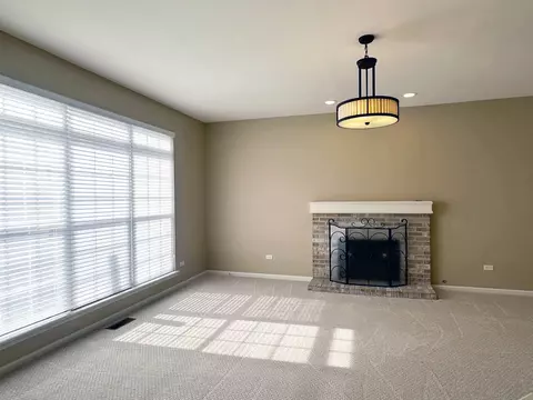 23931 Greenfield Ct, Plainfield, IL 60585 photo 10