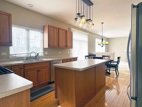 23931 Greenfield Ct, Plainfield, IL 60585 photo 8
