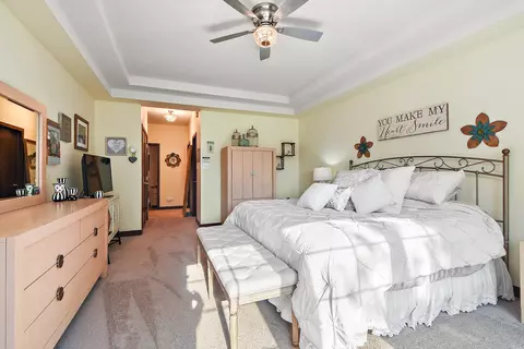 Bedroom - 21809 Tower Bridge Dr, Mokena, IL 60448 photo 2 of 4
