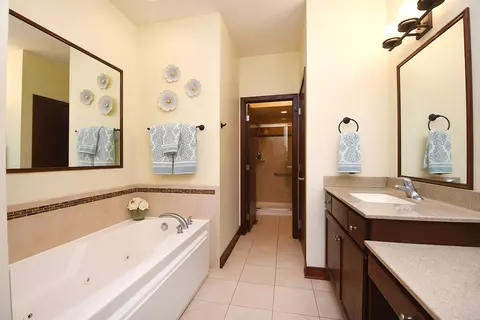 Bath - 21809 Tower Bridge Dr, Mokena, IL 60448 photo 1 of 4