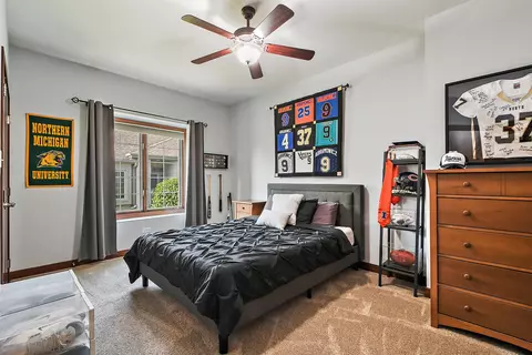 Bedroom - 21809 Tower Bridge Dr, Mokena, IL 60448 photo 3 of 4