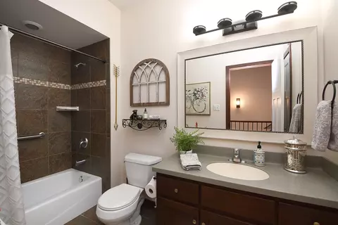 Bath - 21809 Tower Bridge Dr, Mokena, IL 60448 photo 3 of 4