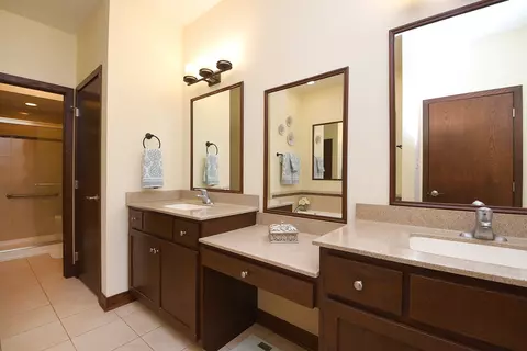 Bath - 21809 Tower Bridge Dr, Mokena, IL 60448 photo 2 of 4