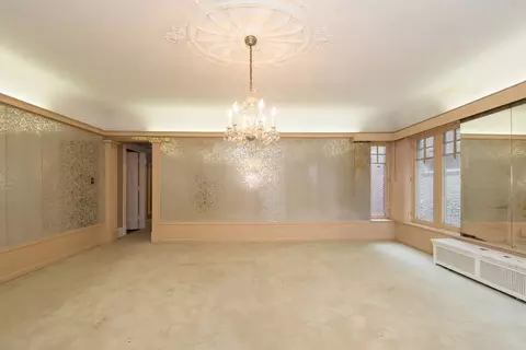 843 E Drexel Sq #1, Chicago, IL 60615 photo 10