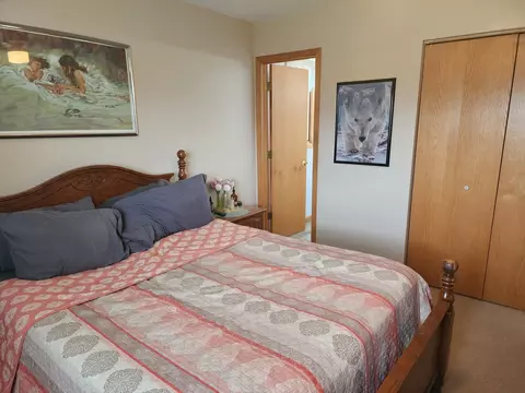 Bedroom - 19394 Walnut St, Mokena, IL 60448 photo 1 of 10