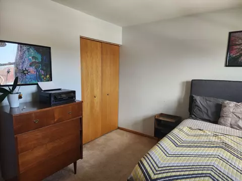 Bedroom - 19394 Walnut St, Mokena, IL 60448 photo 6 of 10