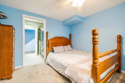 Bedroom - 8001 William Dr, Willowbrook, IL 60527 photo 8 of 8