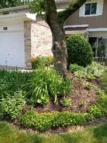 1256 Reading Ct, Wheaton, IL 60189 photo 30
