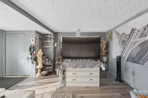 Entry Way - 864 E Thacker St, Des Plaines, IL 60016 photo 1 of 3