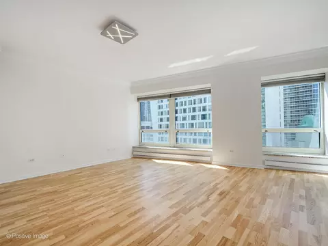 57 E Delaware Pl #2005, Chicago, IL 60611 photo 17