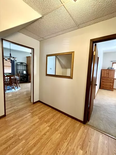 321 E 3rd St, Depue, IL 61322 photo 20