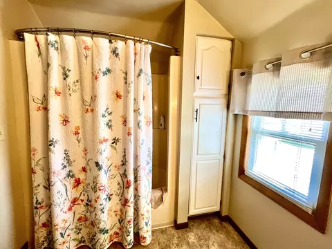 321 E 3rd St, Depue, IL 61322 photo 28