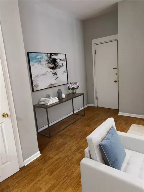 20 E Goethe St #203, Chicago, IL 60610 photo 3