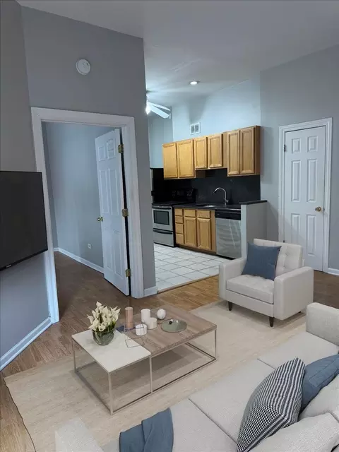 20 E Goethe St #203, Chicago, IL 60610 photo 5