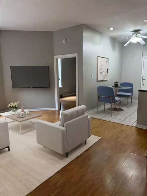 20 E Goethe St #203, Chicago, IL 60610 photo 2