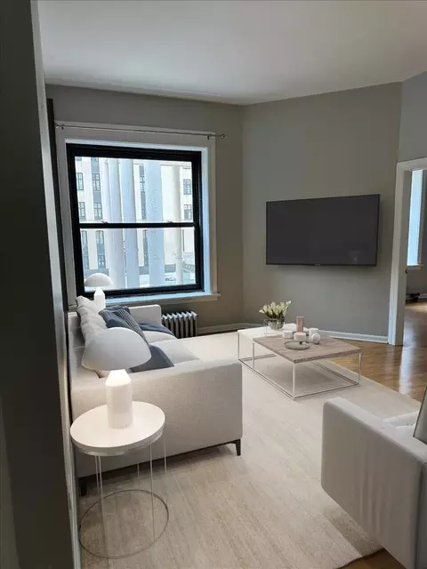 20 E Goethe St #203, Chicago, IL 60610 photo 8