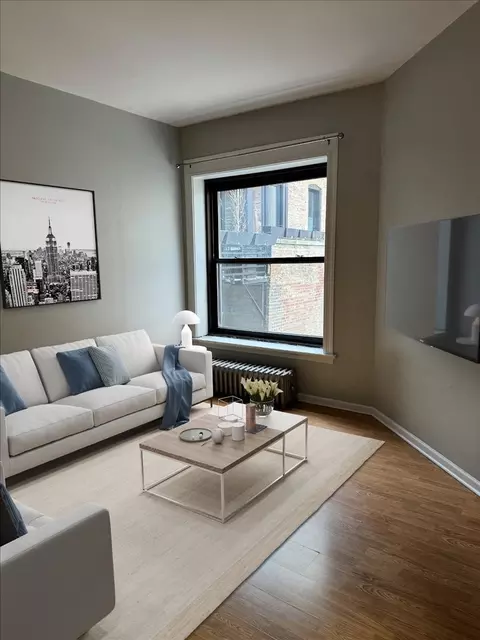 20 E Goethe St #203, Chicago, IL 60610 photo 7