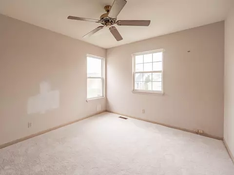14146 S Buckner Ct, Plainfield, IL 60544 photo 9