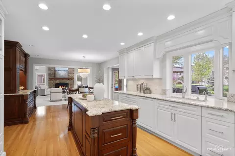 Kitchen - 1454 Rill Ct, Naperville, IL 60565 photo 6 of 8