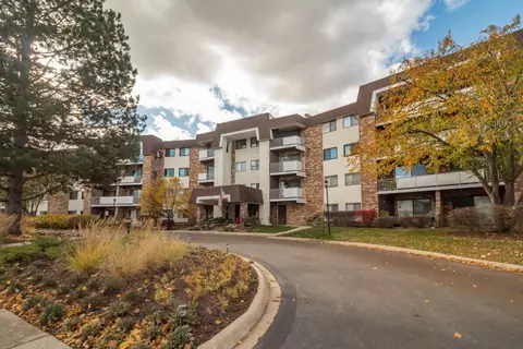 3300 N Carriageway Dr #320, Arlington Heights, IL 60004