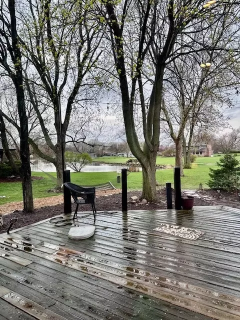 25002 W Mary Ln, Plainfield, IL 60586 photo 17