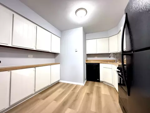 101 Gregory St #8, Aurora, IL 60504 photo 5