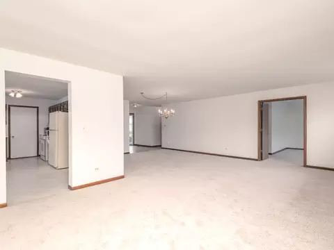 Living - Undisclosed, Plainfield, IL 60544 photo 4 of 7