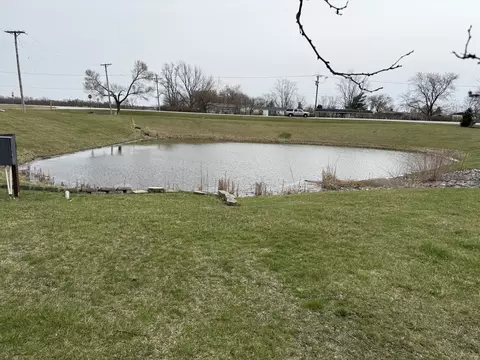 33 Partridge Ln, Beecher, IL 60401 photo 19