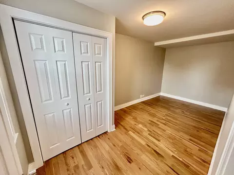 3246 S Normal Ave, Chicago, IL 60616 photo 42