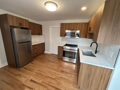 3246 S Normal Ave, Chicago, IL 60616 photo 39