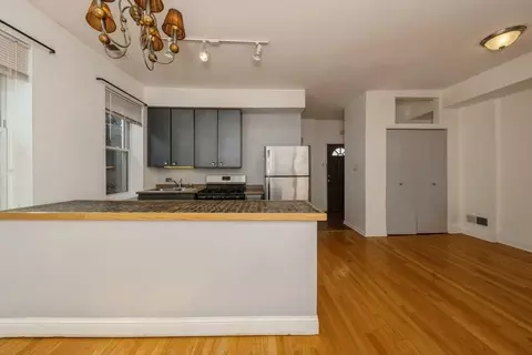 Living - 2446 W Thomas St, Chicago, IL 60622 photo 10 of 14