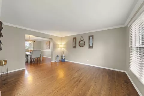 13609 Arborview Blvd, Plainfield, IL 60585 photo 3