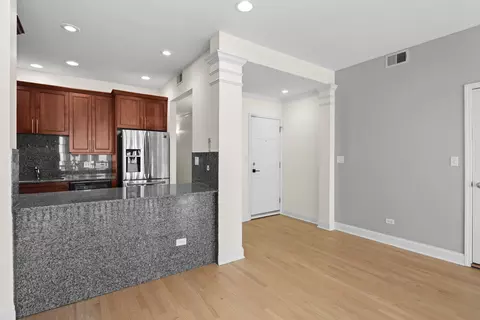 Living - 73 E 16th St #2, Chicago, IL 60616 photo 7 of 8