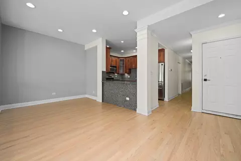 Living - 73 E 16th St #2, Chicago, IL 60616 photo 6 of 8